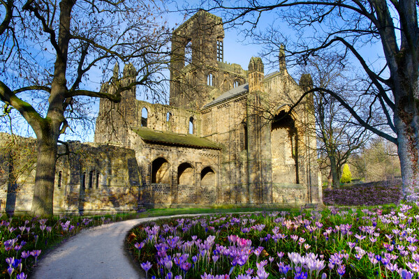 Kirkstall Abbey  Picture Board by Alison Chambers