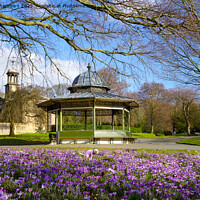 Buy canvas prints of Roundhay Park Leeds by Alison Chambers
