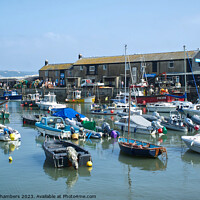 Buy canvas prints of Lyme Regis by Alison Chambers