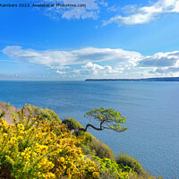 Buy canvas prints of Torquay   by Alison Chambers