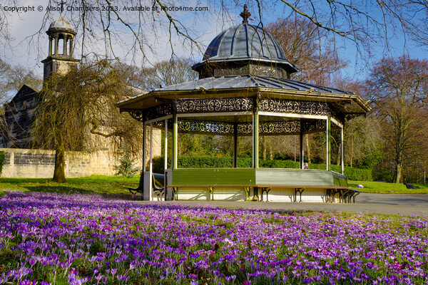Roundhay Park Leeds Picture Board by Alison Chambers
