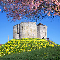 Buy canvas prints of Cliffords Tower York by Alison Chambers