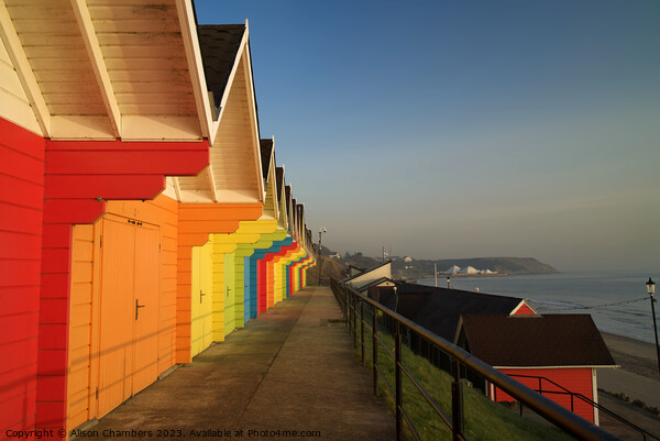 Scarborough Beach Huts Picture Board by Alison Chambers