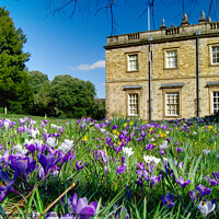 Buy canvas prints of Cannon Hall Barnsley  by Alison Chambers
