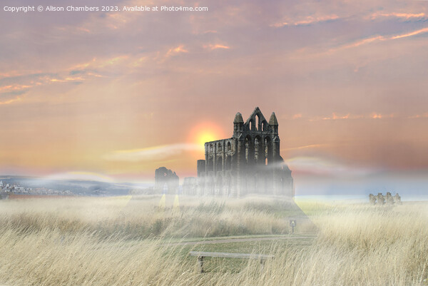 Whitby Abbey  Picture Board by Alison Chambers