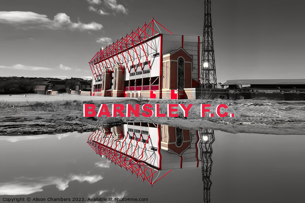 Barnsley Football Club Picture Board by Alison Chambers