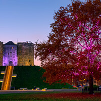 Buy canvas prints of Cliffords Tower by Alison Chambers