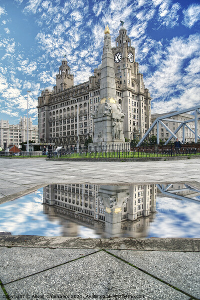 Liverpool  Picture Board by Alison Chambers