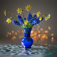 Buy canvas prints of Still Life Daffodils  by Alison Chambers