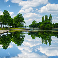 Buy canvas prints of Pontefract Park by Alison Chambers