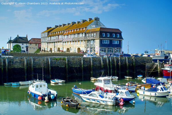 West Bay Harbour  Picture Board by Alison Chambers