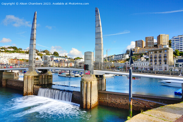 Torquay Harbour Bridge Picture Board by Alison Chambers