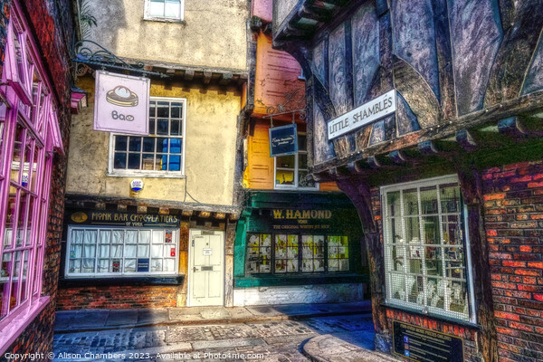 The Shambles York Picture Board by Alison Chambers