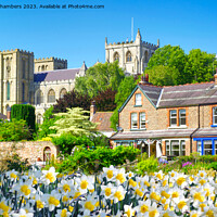Buy canvas prints of Springtime In Ripon by Alison Chambers