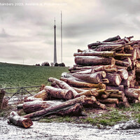 Buy canvas prints of Emley Moor Landscape by Alison Chambers