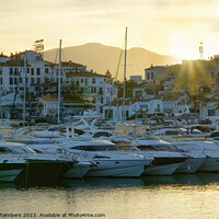 Buy canvas prints of Puerto Banus by Alison Chambers