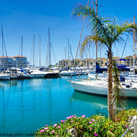 Buy canvas prints of Queensway Quay Gibraltar  by Alison Chambers