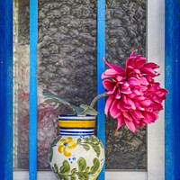 Buy canvas prints of Mediterranean Flower by Alison Chambers
