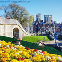 Buy canvas prints of Springtime In York by Alison Chambers