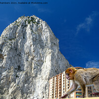 Buy canvas prints of Rock Of Gibraltar  by Alison Chambers