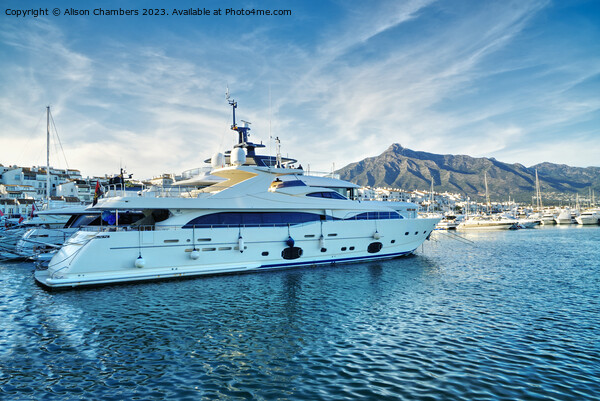 Puerto Banus Super Yacht Picture Board by Alison Chambers