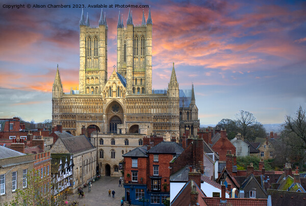 Lincoln Cathedral Sunset  Picture Board by Alison Chambers