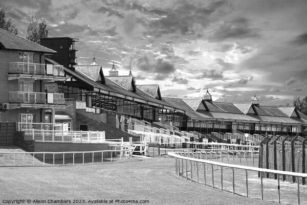 Pontefract Racecourse Picture Board by Alison Chambers