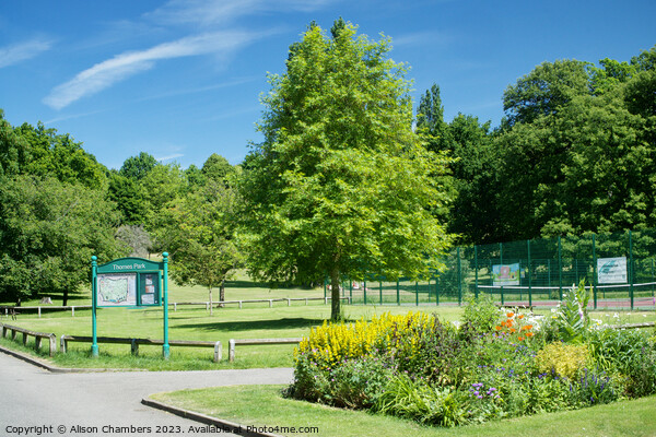 Thornes Park Wakefield Picture Board by Alison Chambers