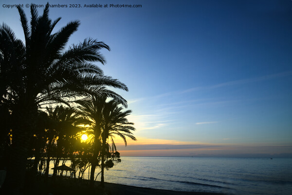 Marbella Sunrise Picture Board by Alison Chambers