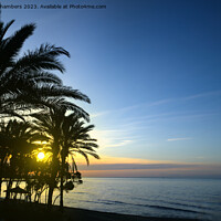 Buy canvas prints of Marbella Sunrise by Alison Chambers