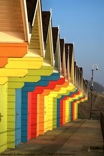 Beach Huts Scarborough  Picture Board by Alison Chambers