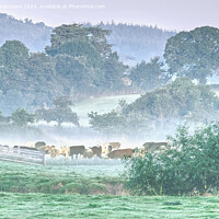 Buy canvas prints of Devonshire Countryside  by Alison Chambers