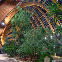Buy canvas prints of Sheffield Winter Garden by Alison Chambers
