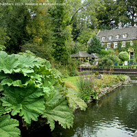 Buy canvas prints of The Swan Hotel Bibury by Alison Chambers