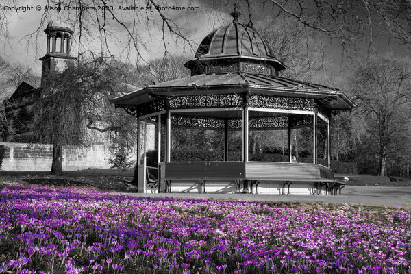 Roundhay Park Bandstand Picture Board by Alison Chambers