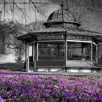 Buy canvas prints of Roundhay Park Bandstand by Alison Chambers