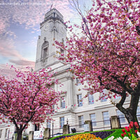 Buy canvas prints of Barnsley Town Hall Cherry Blossom by Alison Chambers