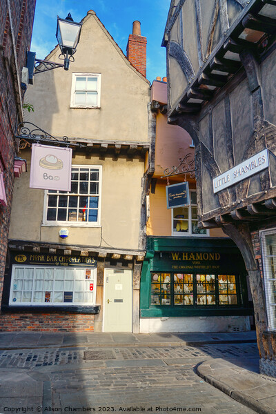 Little Shambles York Picture Board by Alison Chambers