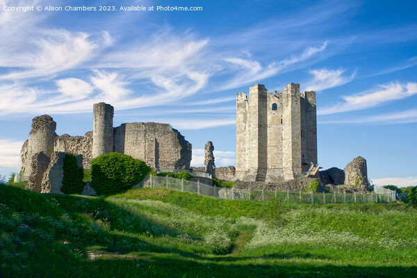 Conisbrough Castle  Picture Board by Alison Chambers