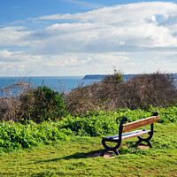 Buy canvas prints of Daddyhole Plain Torquay by Alison Chambers