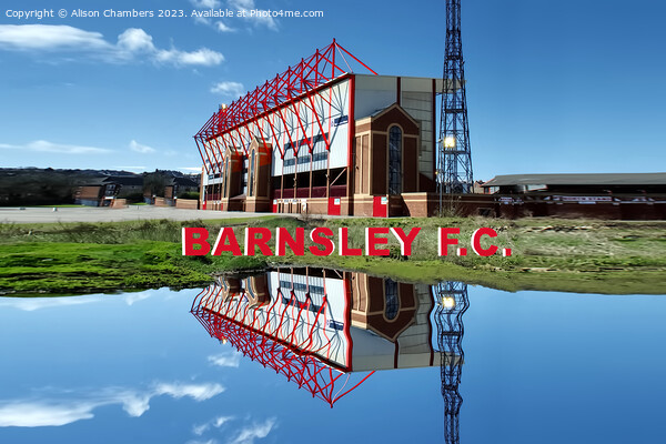 Barnsley FC Oakwell Stadium Picture Board by Alison Chambers