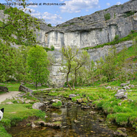 Buy canvas prints of Dog Days Out At Malham Cove by Alison Chambers