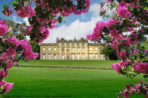 Cannon Hall Barnsley  Picture Board by Alison Chambers