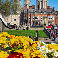 Buy canvas prints of York Minster View by Alison Chambers