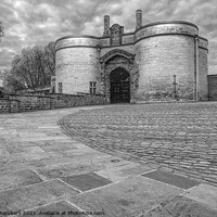 Buy canvas prints of Nottingham Castle by Alison Chambers