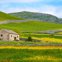 Buy canvas prints of Green Malham landscape  by Alison Chambers