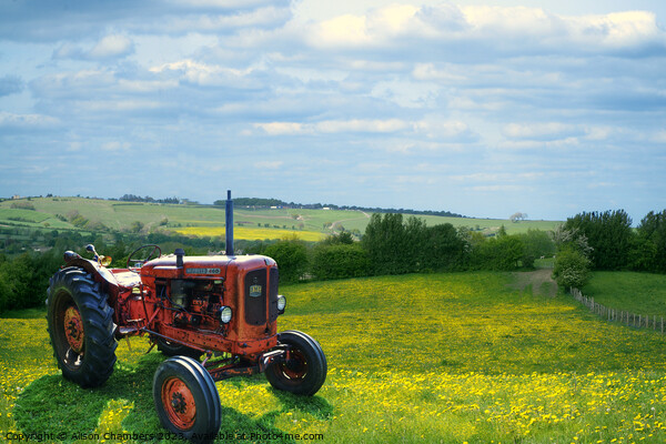 Nuffield Tractor Picture Board by Alison Chambers