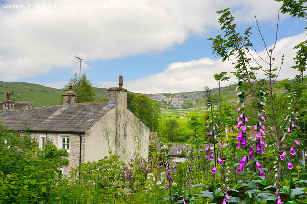 Malham Cove Cottage and Landscape  Picture Board by Alison Chambers