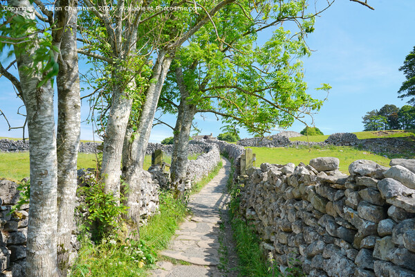 Sedber Lane Grassington Picture Board by Alison Chambers