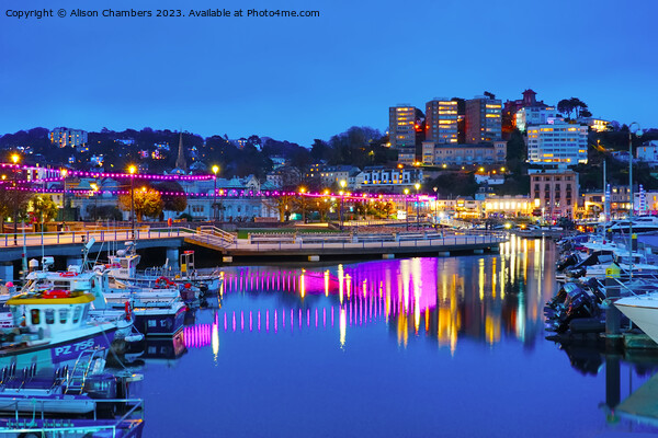 Torquay Harbour At Night Picture Board by Alison Chambers